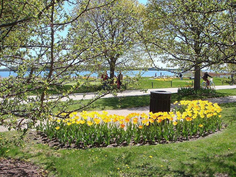 179 Memorial Day [2008 May 23].JPG - Scenes from Mackinac Island.